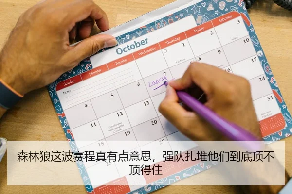 森林狼这波赛程真有点意思，强队扎堆他们到底顶不顶得住